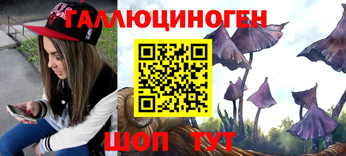 Псилоцибиновые грибы ЛСД  Вход с VPN  Галлюциногенные грибы GOLDEN TEACHER  Заинск 